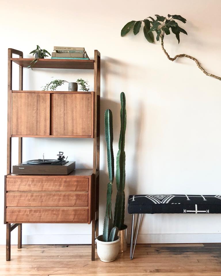 Mid-Century Walnut Shelf