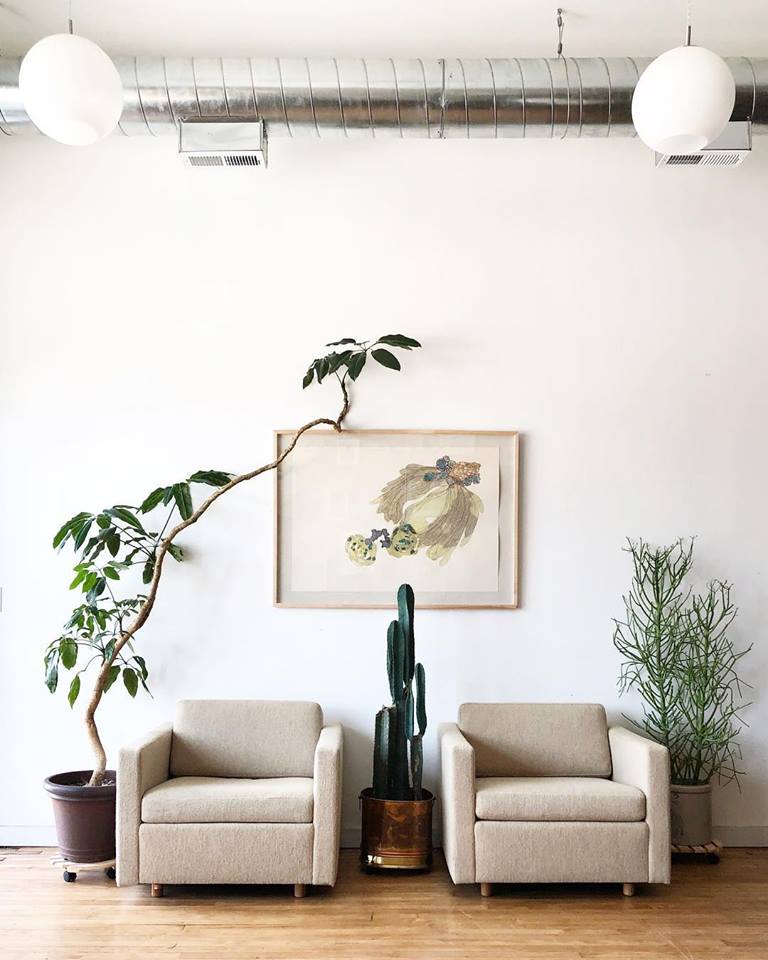 Mid-Century Club Chairs in Oatmeal