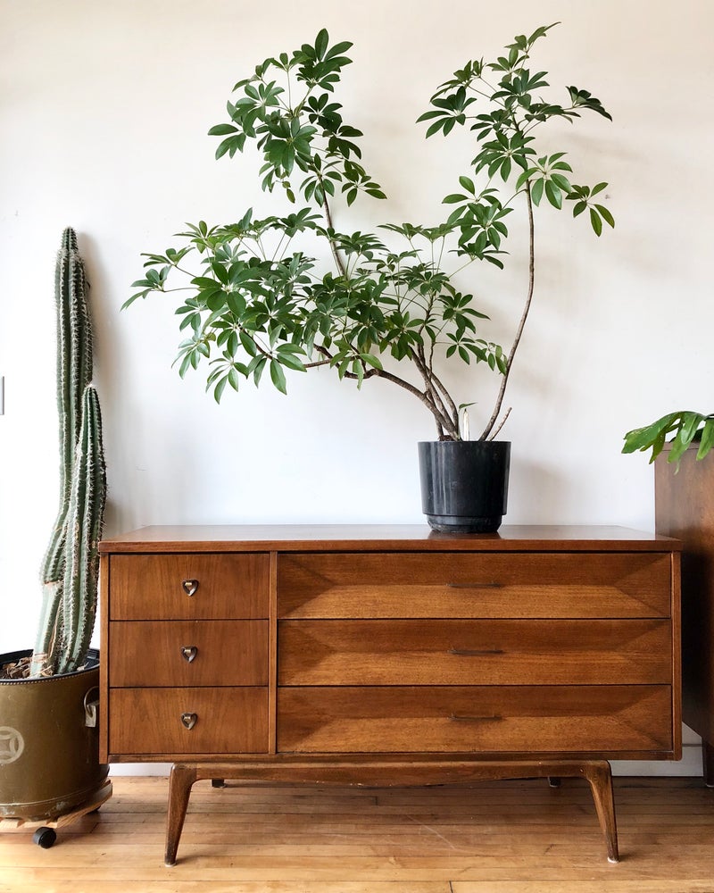 Mid-Century Low Asymmetrical Wood Top Dresser Home and Closet Vintage Mid-Century Low Asymmetrical Wood Top Dresser Home and Closet Vintage