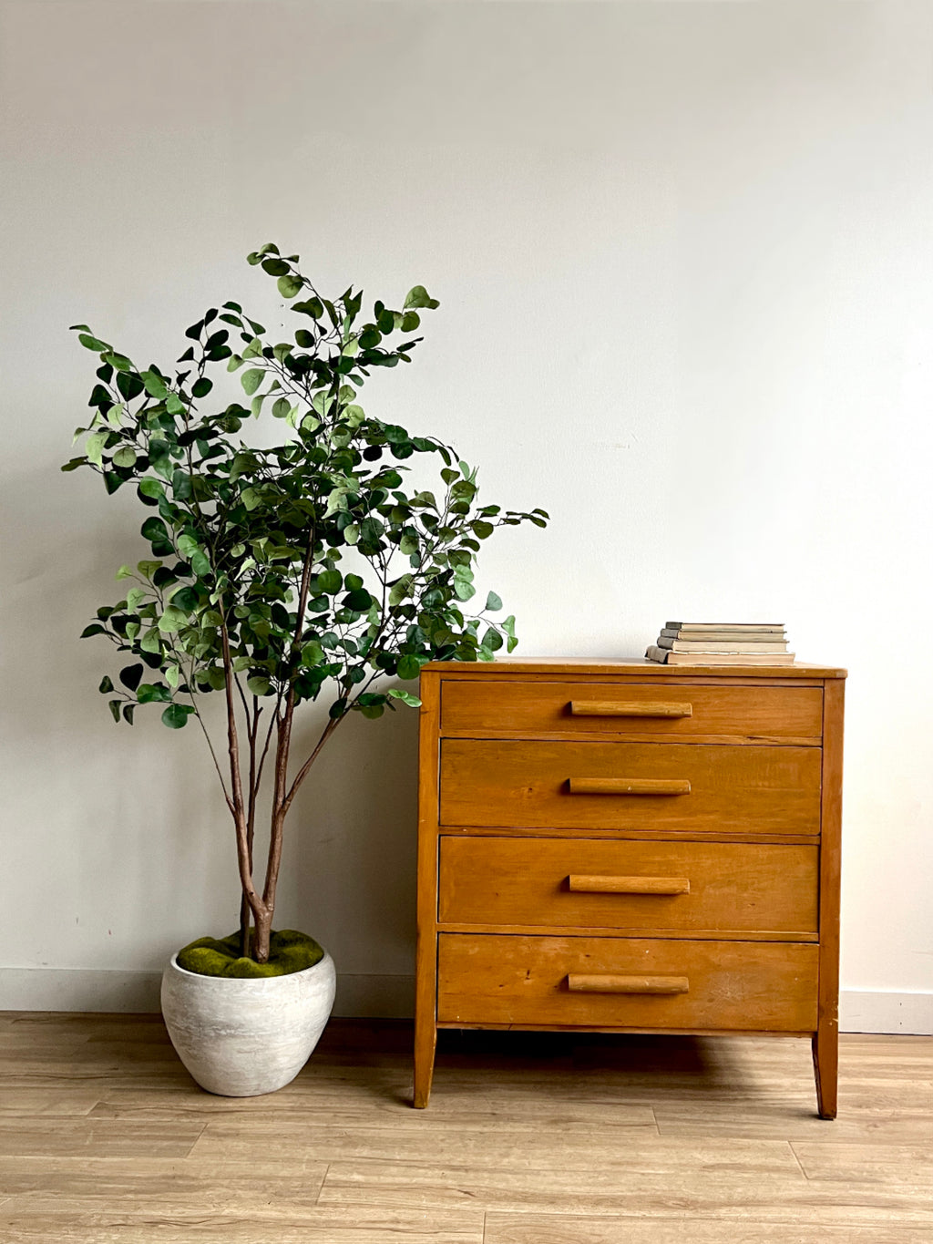 Project Four Drawer Dresser