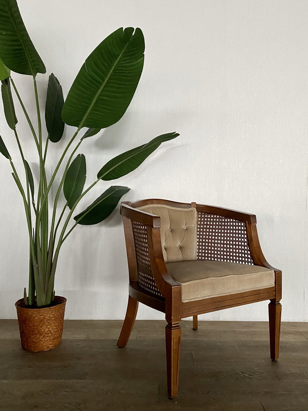 Vintage Velvet and Cane Chair