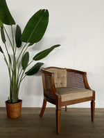 Vintage Velvet and Cane Chair