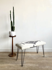The Jackson Bench in Los Ojos White