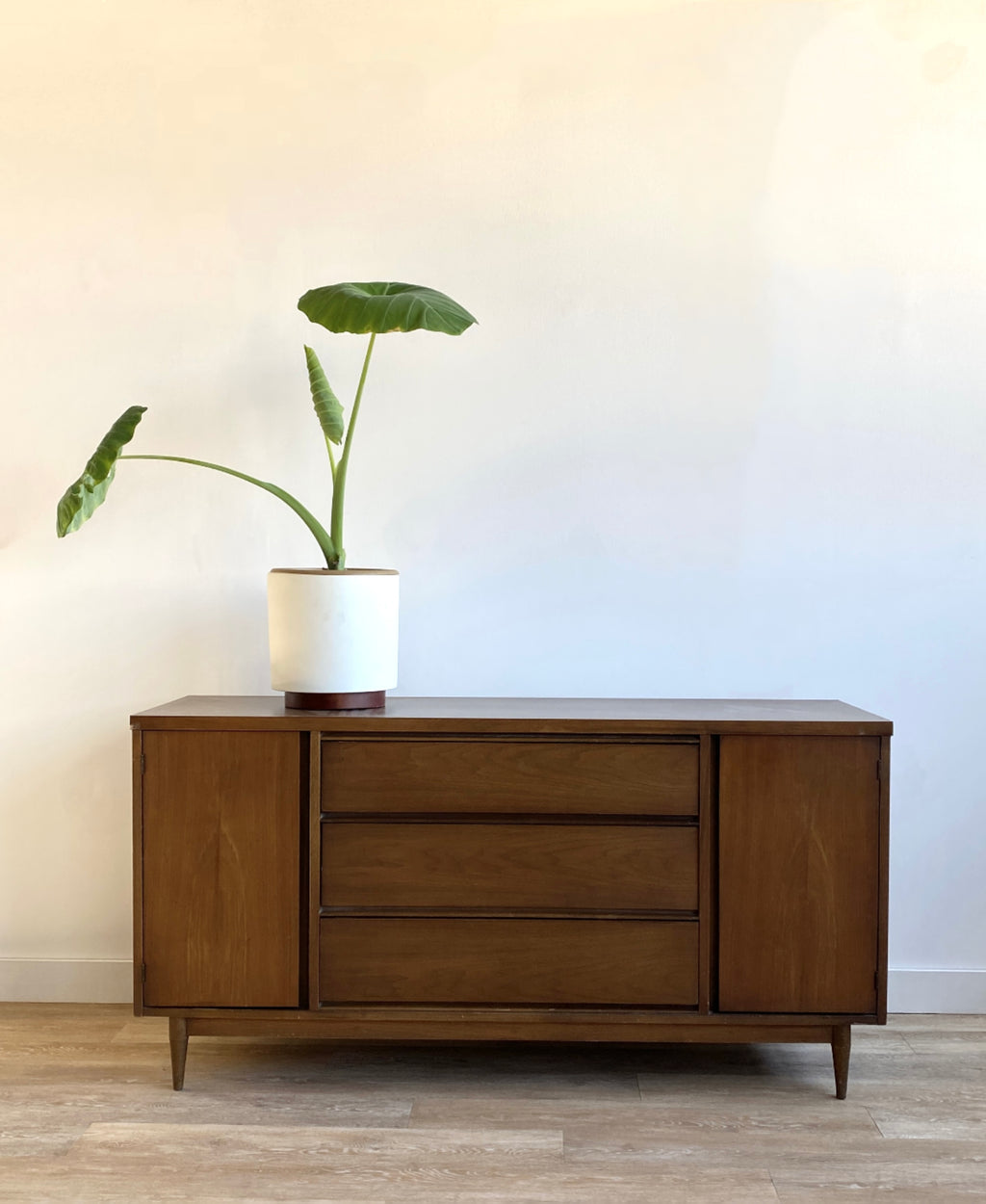 Vintage Mid Century Sideboard / Credenza with Two Doors