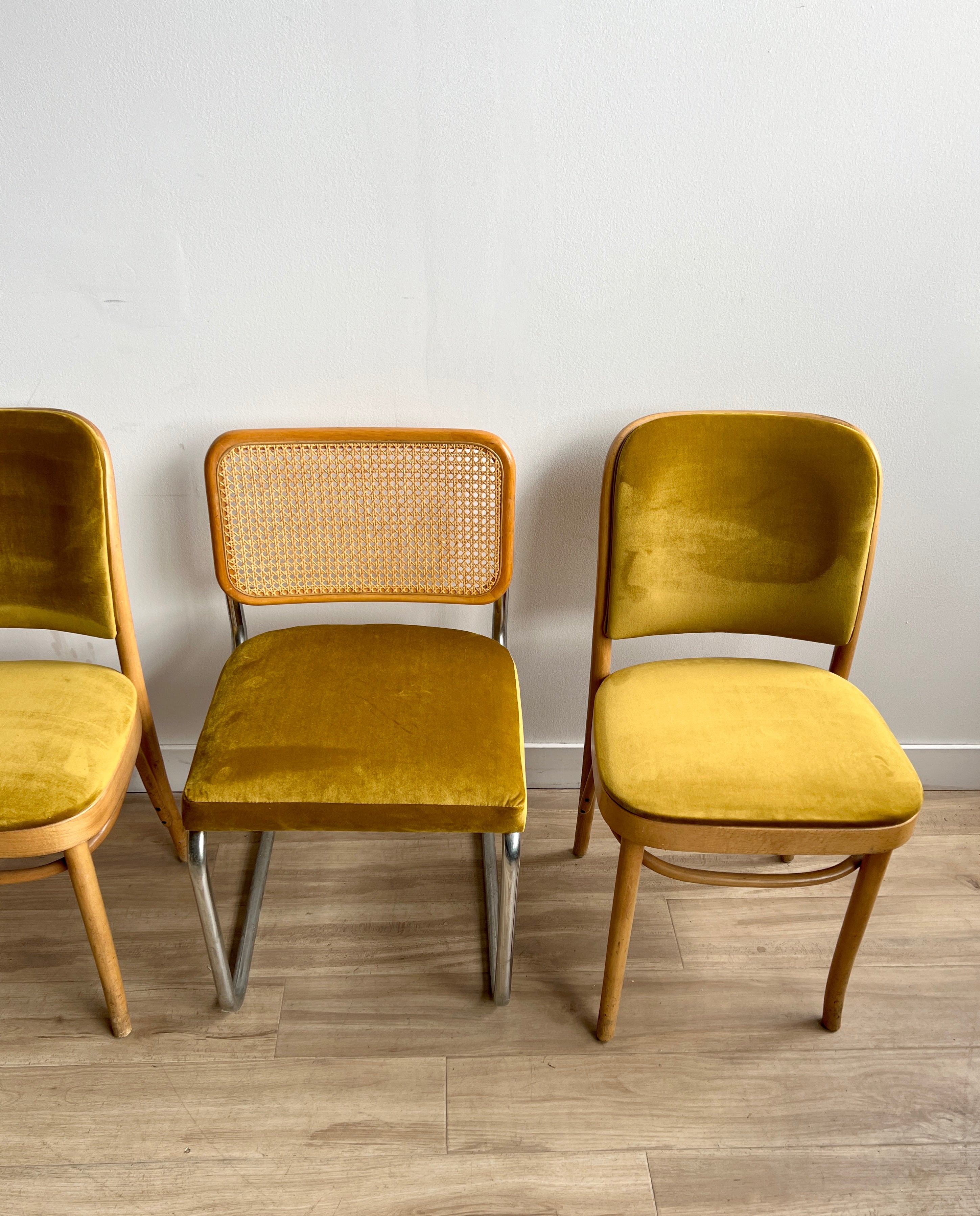 Two Pair of Vintage Cesca Style and Thonet Dining Chairs Freshly Upholstered in Golden Velvet