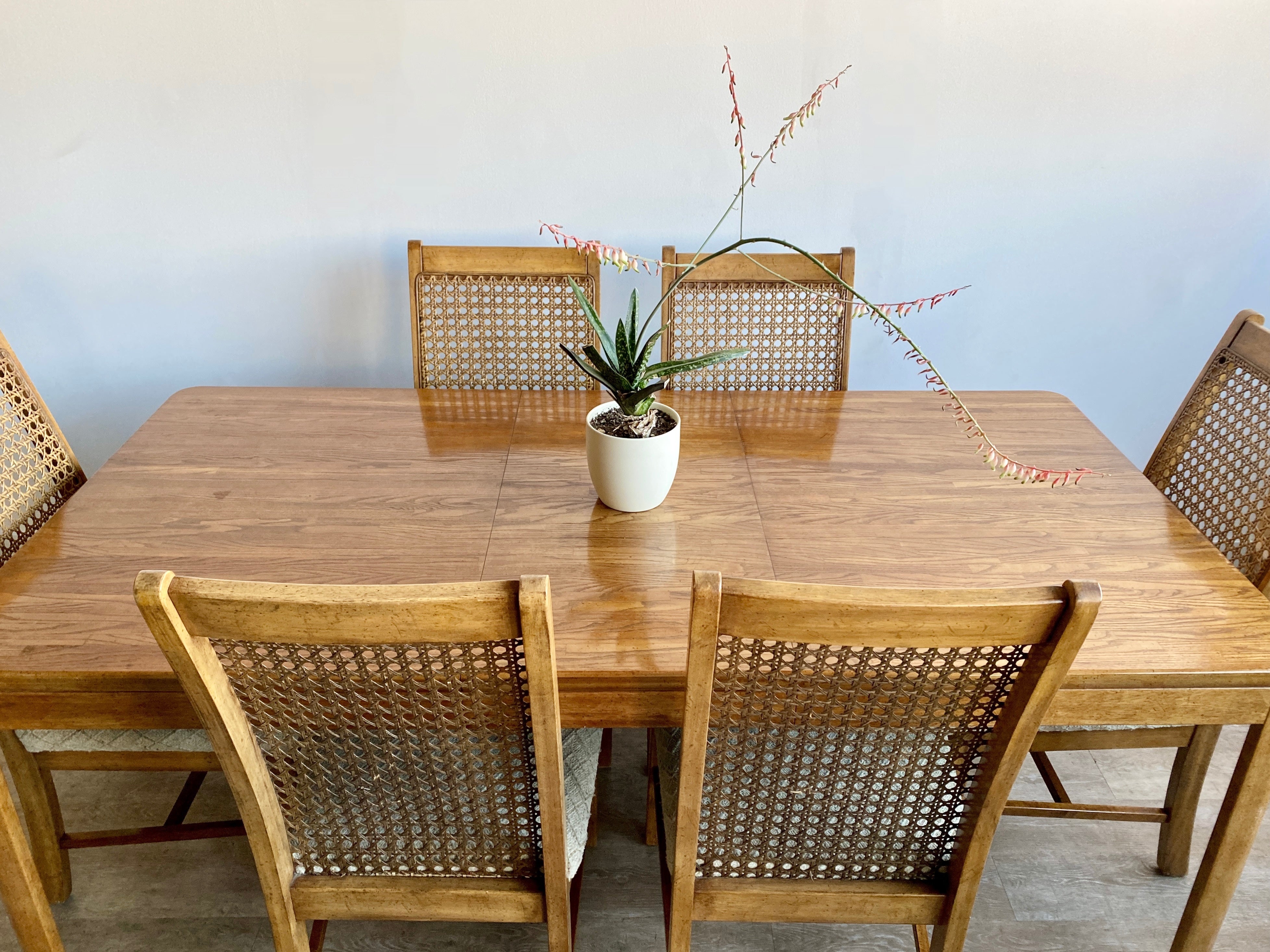 Vintage Cane Back Dining Set with 6 Chairs + 1 Leaf