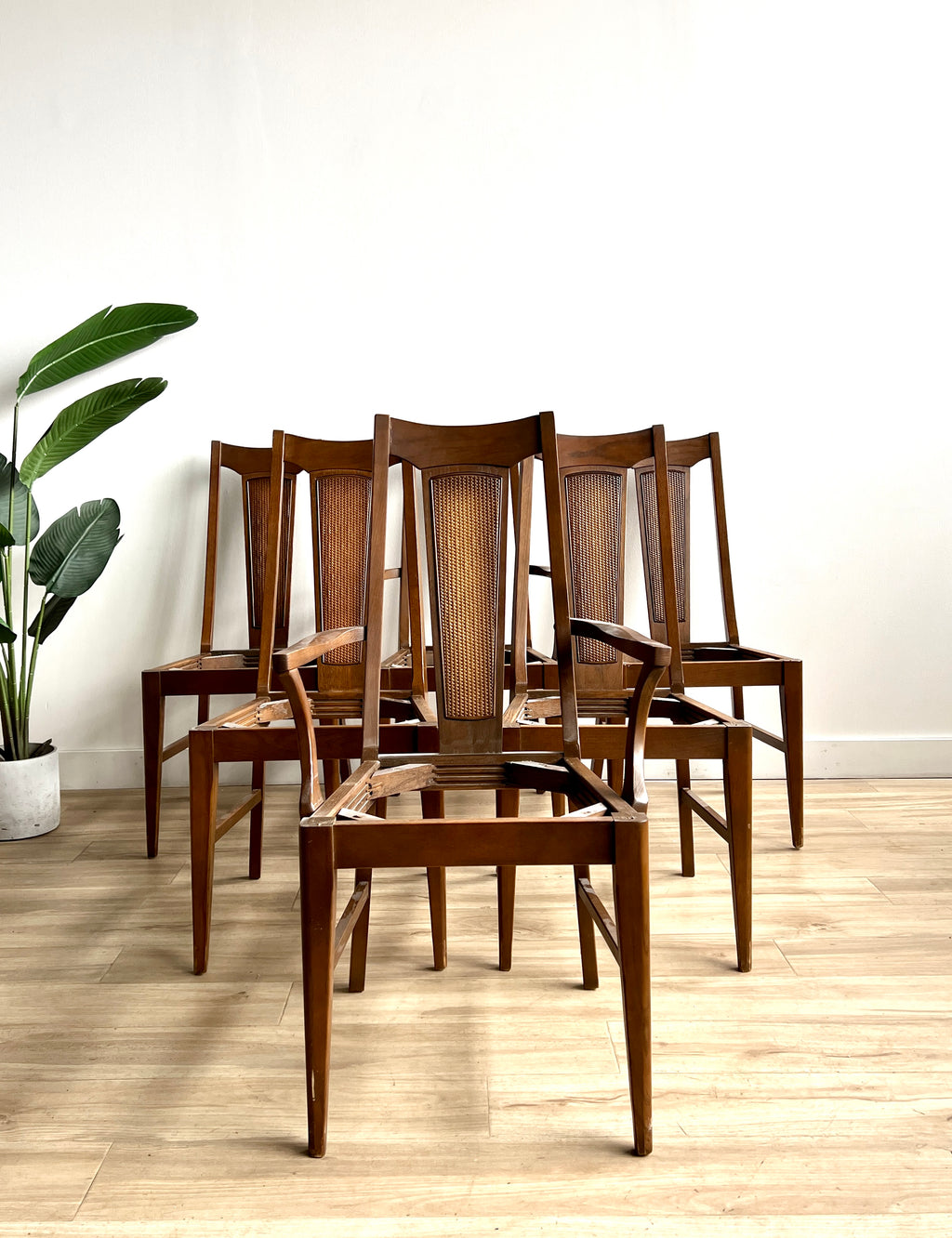 Set of Six Vintage Mid Century Dining Chairs with Upholstery Service