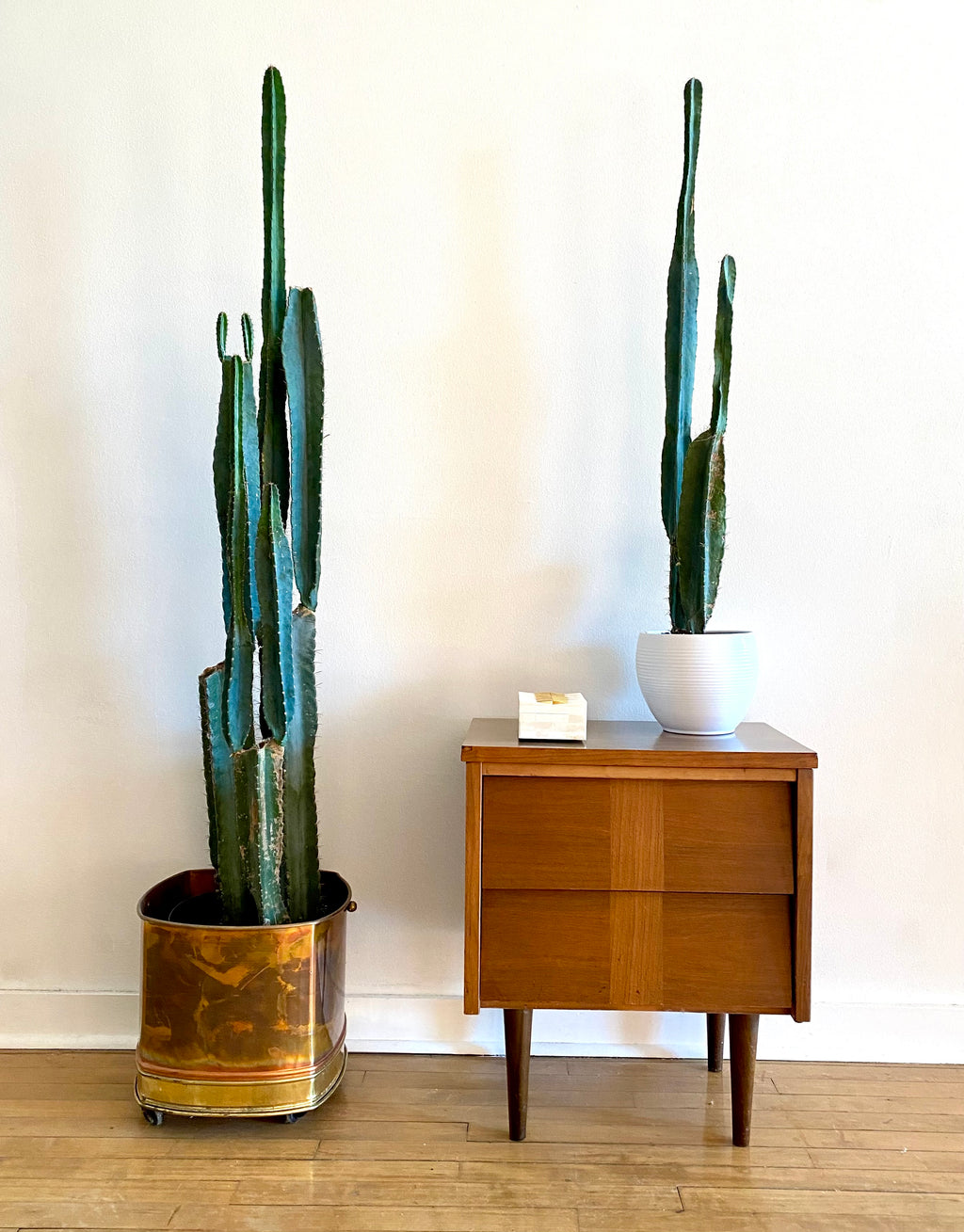 Mid-Century Nightstand
