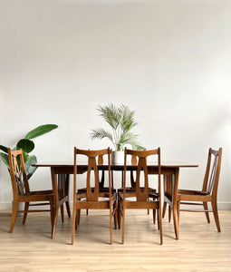 Vintage Mid Century Dining Set with Six Chairs, Two Leaves & Upholstery Service