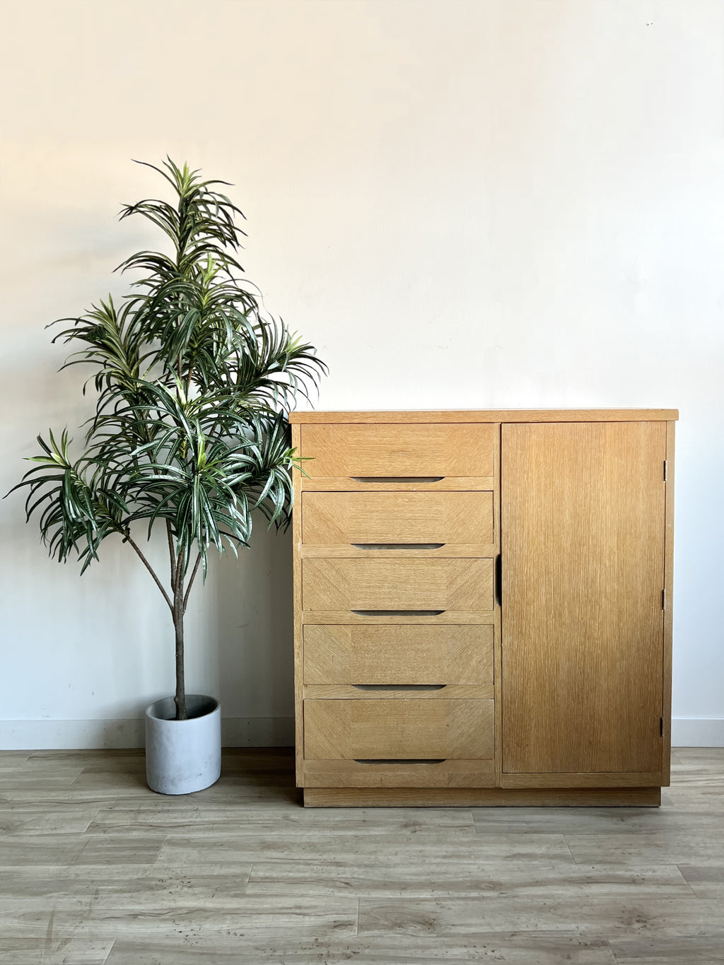 Vintage Mid Century Dresser with Door