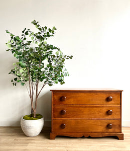 Vintage Walnut Dresser with Cedar Lined Drawers