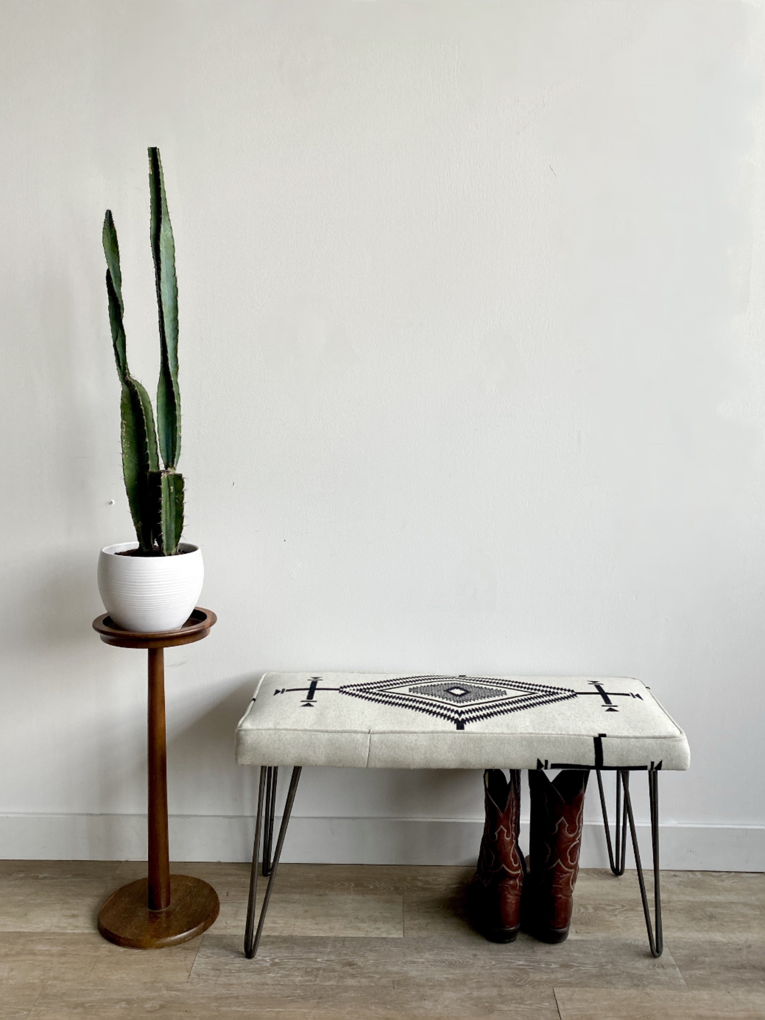 The Jackson Bench in Los Ojos White