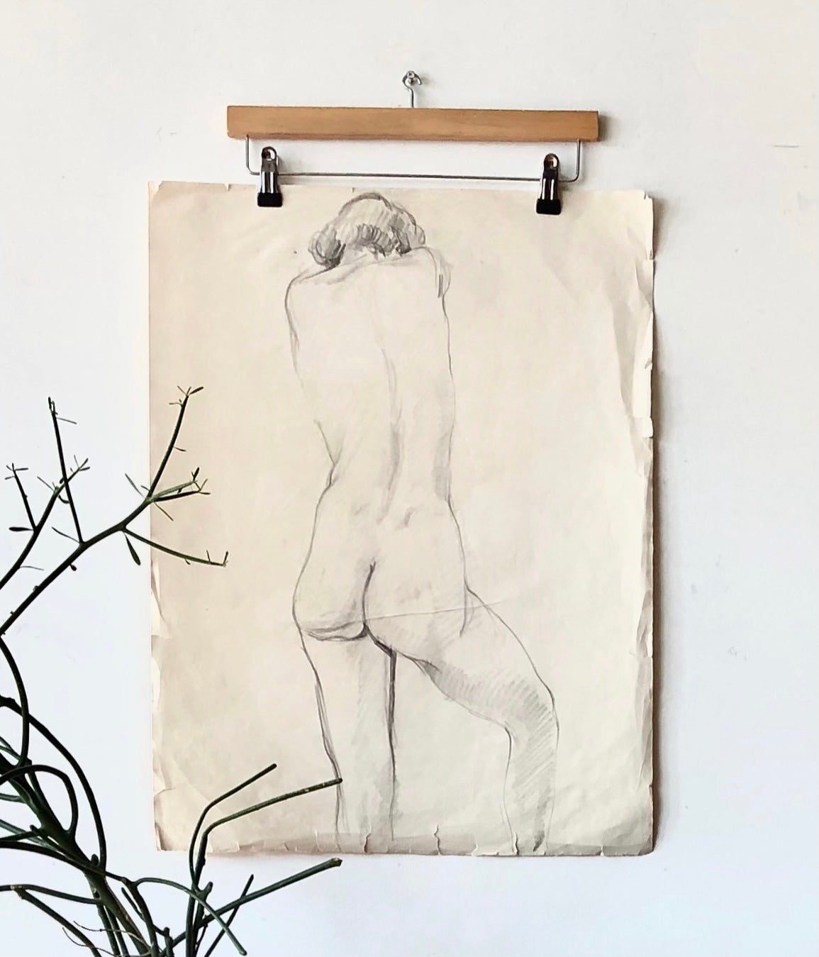 Vintage Nude Sketch #5 by Tom Sheffield