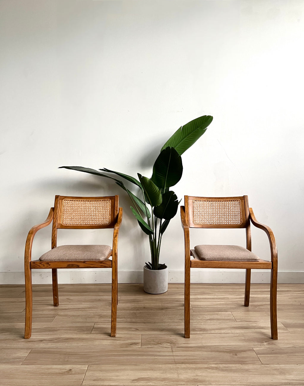 Pair of Vintage Cane Back Chairs