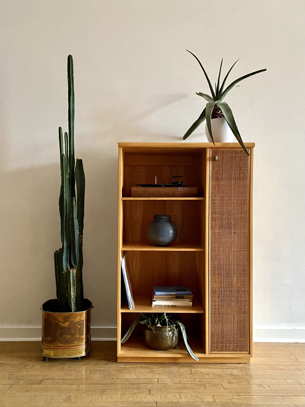Vintage Shelving Unit with Cane Door