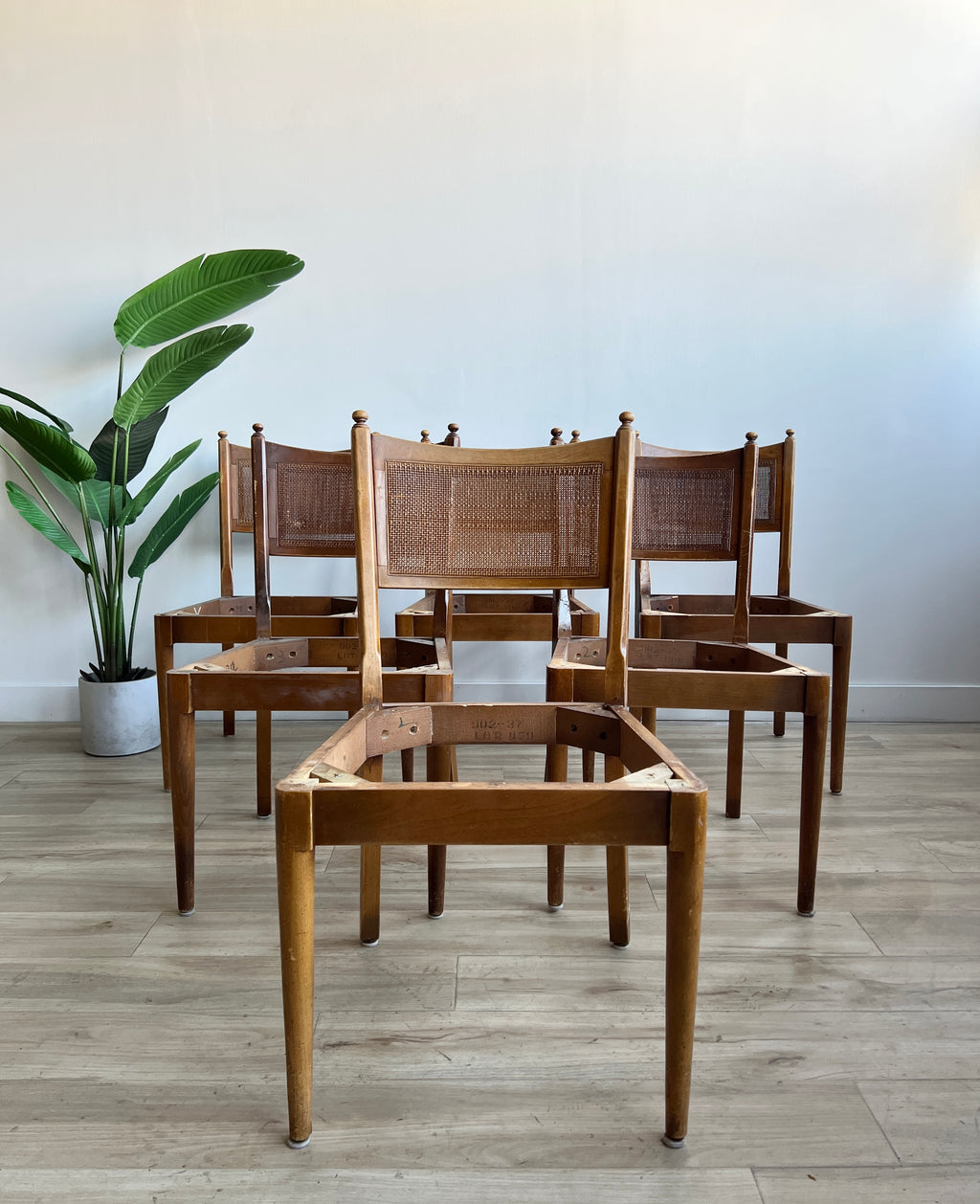 Project Vintage Drexel Mid Century Set of Six Dining Chairs